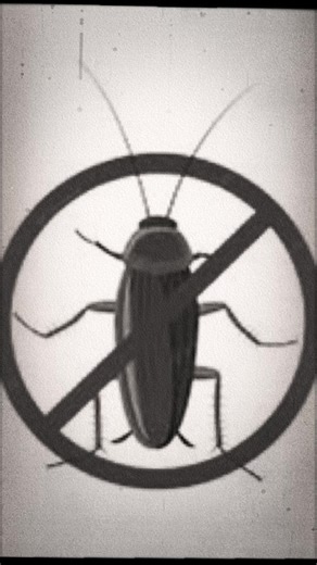 Cityprop (@citypropmultiservices)’s videos with Cool Kids (our sped up version) - Echosmith