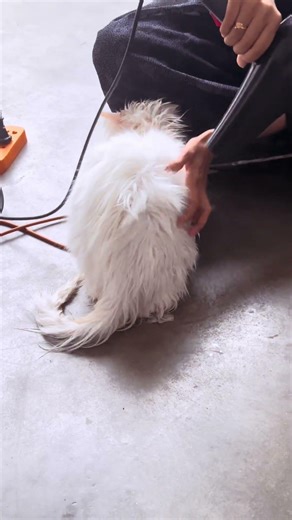 After bath playing mode js on