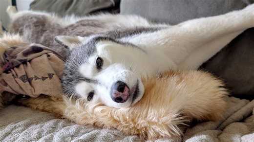 4.3K views · 351 reactions | We have more amazing news to share about...