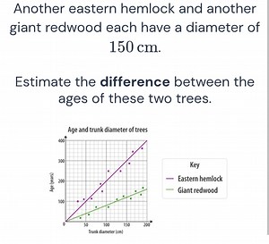 Another eastern hemlock and another giant redwood each have a d... | Filo
