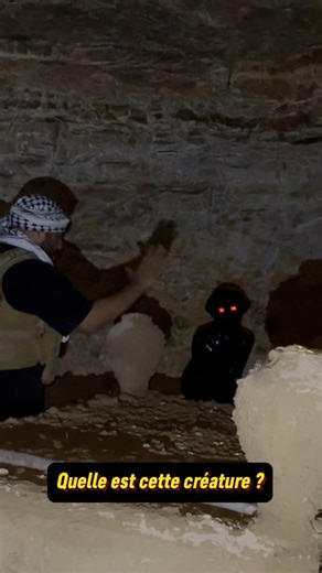 😱 Rencontre Terrifiante dans les Profondeurs : Une Créature aux Yeux Rouges Découverte 🔴” • #Paranormal #ExplorationUrbaine #CréatureMystérieuse #AventureNocturne #EnquêtesParanormales | Crazy Paranormal