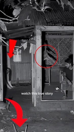 True Ghost Story | DreadGup #horror #stories #ghosts