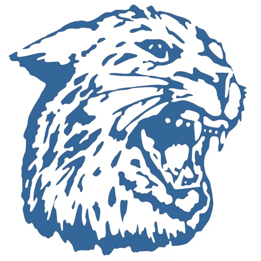 Football Recap: Hanover Extends Winning Streak to 12   How To Watch