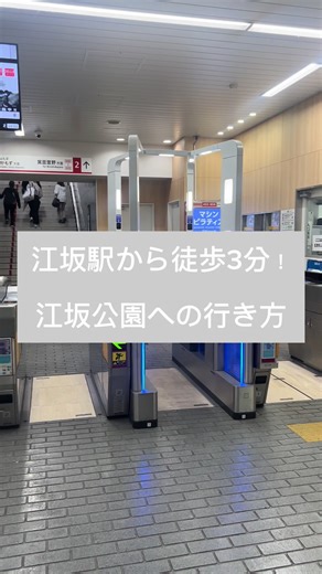 江坂公園への行き方とたこ焼き情報