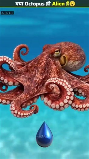 Earth's Strangest Creature 😱Are Octopuses Actually Aliens?👽