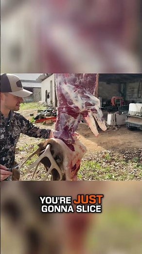 Deer Processing Easy Steps for Tubing, Neck Prep, and Cape Removal!