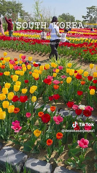 Pyeongtaek Flower Festa 2026: A Blooming Celebration
