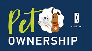 1.9K views · 17 reactions | Pet ownership can be rewarding, but it...