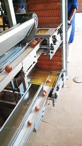 11K reactions · 193 shares |  Exciting news! Our chicken equipment...