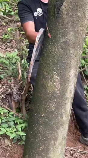 #Trending #tools and gadgets for him#Gardening tool with balanced weight distribution—ideal for trimming branches, weeds, vines, and harvesting crops.