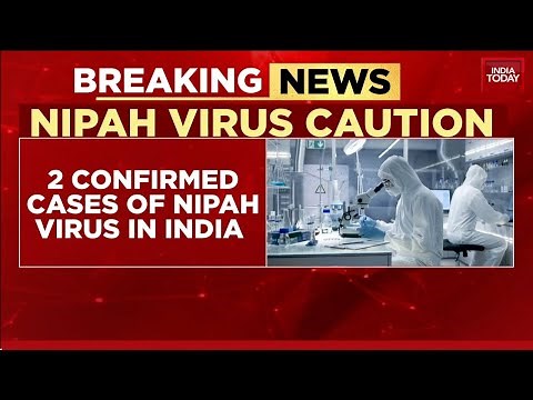 Nipah Virus Updates: WHO Confirms 196 Contacts Test Negative For Nipah Virus In India | India Today