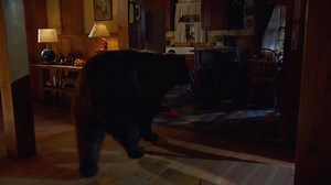 The Guest Book Season 1 Episode 9 |TBS| Story Nine Full Episode