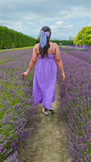 Understanding Human Emotions and Changes