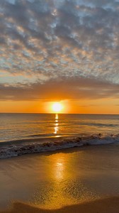 31 seconds of bliss 🌊🌞🌊🌞 | Lyn Morris