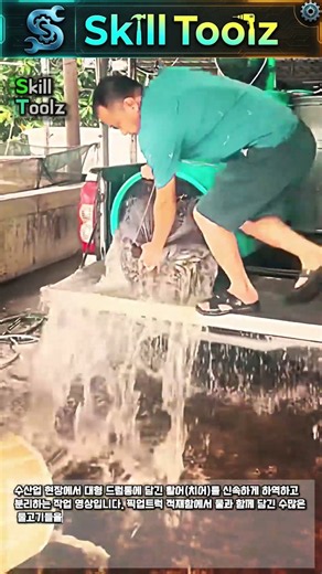 폭포수처럼 쏟아지는 물고기 떼! 양식장 하역 작업의 놀라운 속도 #worker #process #aquaculture #fishfarm #fish