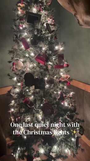 Not ready to turn off the lights yet… but I’m ready to have my living room back. When do you take your tree down? #christmas #lights #decorations