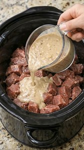 🥩🍄 Slow Cooker Beef Stroganoff Tender beef, mushrooms, and a silky sour cream sauce served over noodles 🤤 Perfect for busy days or cozy nights. ⏱️ Prep Time: 10 minutes 🐢 Cook Time: 6–8 hours LOW (or 3–4 HIGH) 🍽️ Servings: 6 🛒 Ingredients 2 lbs beef stew meat or sliced chuck 🥩 Salt & black pepper 1 tsp garlic powder 🧄 1 small onion, diced 🧅 8 oz mushrooms, sliced 🍄 2 cups beef broth 1 tbsp Worcestershire sauce 1 tsp paprika 2 tbsp flour or cornstarch 1 cup sour cream 12 oz egg noodles 
