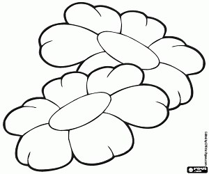 Two flowers with large petals coloring page printable game