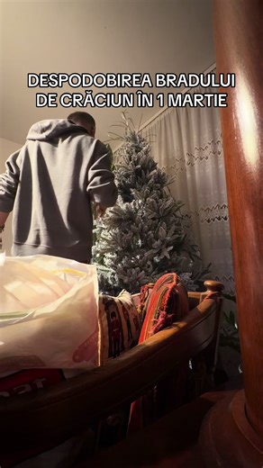 Muream dacă îl țineam până de ziua mea pe 4 martie! #foryou #1martie #brad #craciun #viral