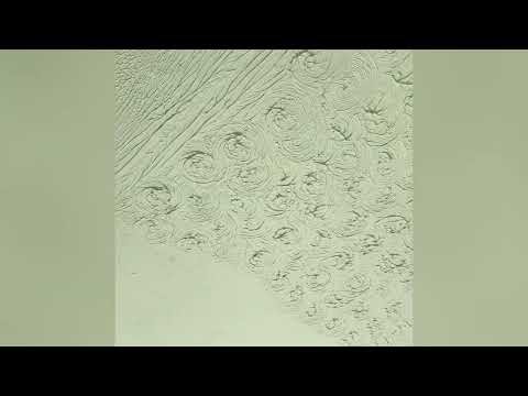PR&P-Ceiling Texture-Stomping