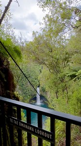 This is the beautiful Omanawa Falls here in the Bay of Plenty Region. Please note that the track does not get you to the bottom of the falls but has lookout decks. The bottom of the