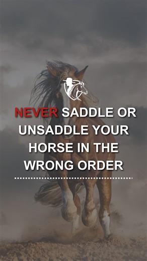Essential Horse Saddling Order for Safety and Comfort