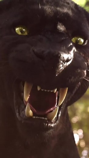 Animal world on TikTok