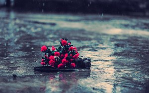 Rain Wallpapers and Backgrounds: Free HD Download [1100 ]