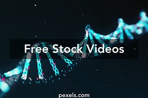 Background Video Videos, Download The BEST Free 4k Stock Video Footage & Background Video HD Video Clips