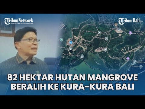 Pansus TRAP Soroti 82 Hektar Hutan Mangrove Beralih Penguasaan ke BTID KEK Kura-kura Bali