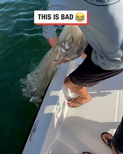 6.8M views · 8.2K reactions | He caught way more than he was expecting with this cast net  | LADbible | Facebook
