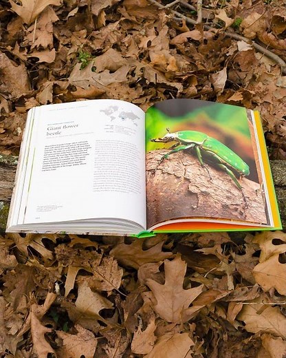 The Lives of Beetles: A Natural History of Coleoptera