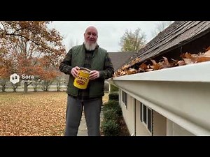Squirrels Clean Gutters for Peanuts