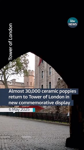 9.4K reactions · 269 comments | The display sees nearly 30,000 of the original poppies, made for the 2014 installation, ‘Blood Swept Lands and Seas of Red’, return to the Tower, marking the sacrifices made by so many during the Second World War. #itvnews #toweroflondon | ITV London | Facebook