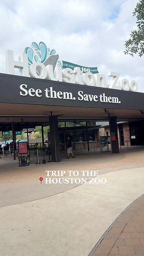 Houston Zoo Visit with Toddlers: Fun Activities and Budget Tips