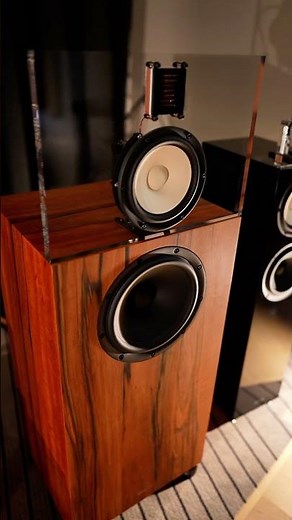Qualio IQ #loudspeakers #highendaudio #hifi #audiophile