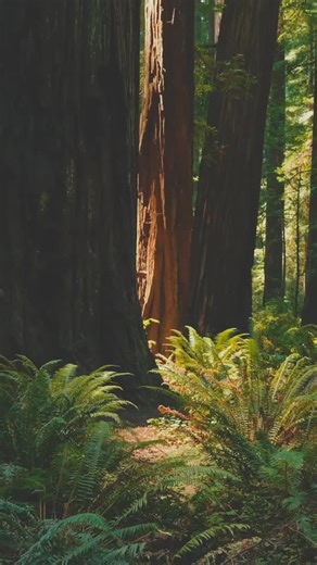 Kw’umut Lelum & Orca Lelum are currently accepting applications for several open positions! ✨ Enjoy a 4-day work week, competitive government-level wages, and the opportunity to make a meaningful impact in the community. Apply today: www.kwumut.org/work-with-us | Kw'umut Lelum