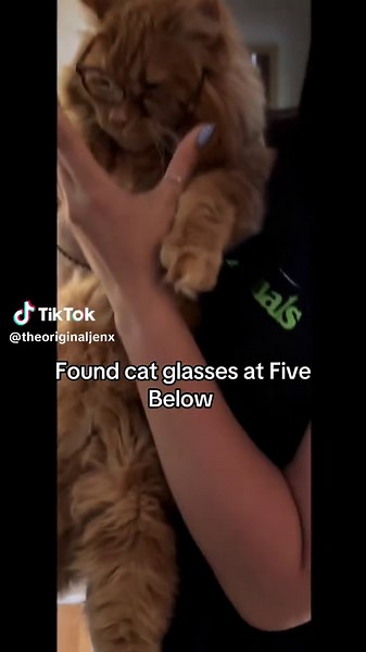 Stylish Eyewear for Cats: A Fun Accessory