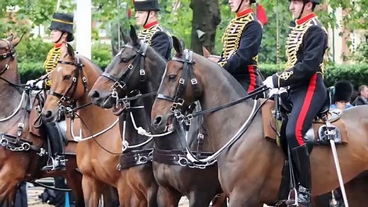 Marche  de la garde consulaire à Marengo . NAPOLÉON BONAPARTE