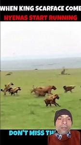 Tiger vs Python: Unexpected Twist!