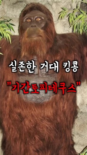 실제 존재했던 거대 원숭이 기관토피테쿠스