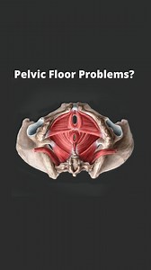224K views · 736 reactions | Pelvic Floor Problems? Too tight or too...