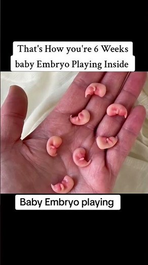 6 weeks baby embryo development #babydevelopment #6weeksembryo #6weekspregnant #viralshortfeed