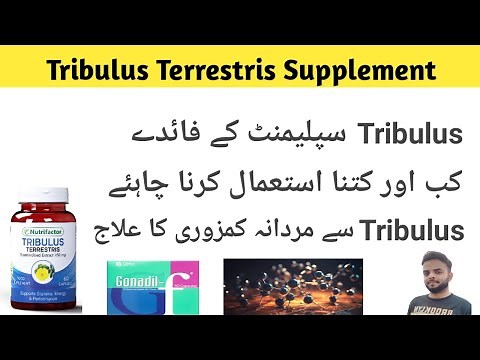 Tribulus Terrestris Supplement Health Benefits For Men | Testosterone booster, Dosage & side effects