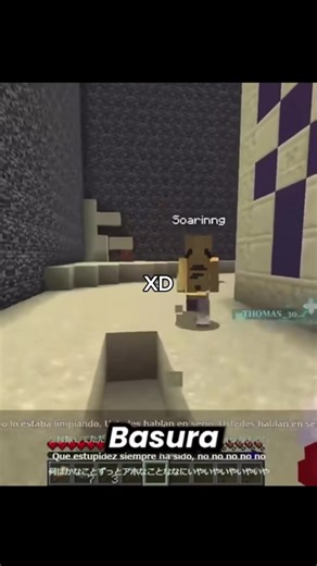 Baka XD #soaring #sylvee #shadoune #meica05 #minecraft