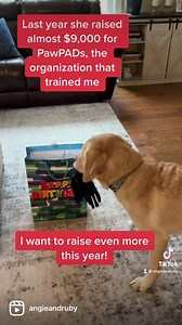 It’s Ruby’s 18th birthday tomorrow and Charlie has a very important message to share with you! Last year, Ruby raised nearly $9,000 for Pawsitive Perspectives Assistance Dogs (PawPADs) in honor of her birthday. It was such an awesome way to celebrate her birthday. This year, she is upping the ante and hoping to raise even more — $10,018 to be exact! To kick off the fundraiser, Ruby and I have donated $1,800 to PawPADs! The best part about this fundraiser is that every donation made through Novem