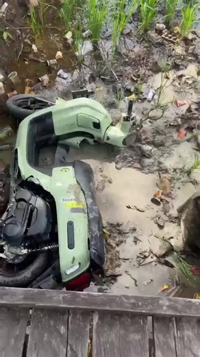 Geology Mining Insights and Techniques