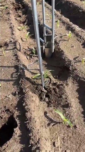 Revolutionizing Agriculture: The Future of Modern Farming #agriculture #modernfarming