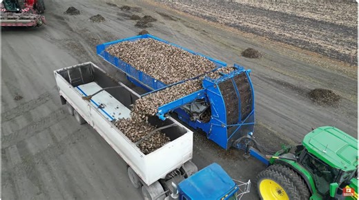 Safe T Pull -- Meet the 2025 Crop Shuttle 5600: the ultimate solution for efficient sugar beet handling! Equipped with advanced features.