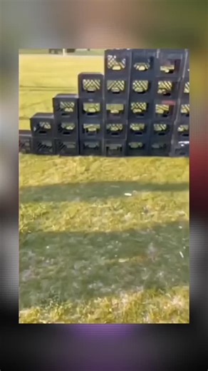 public overflow | Throwback to the crate challenge — a trend that took over timelines and had everyone chasing views. What looked like harmless fun turned... | Instagram
